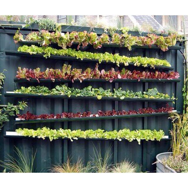 Best Diy Vertical Rain Gutter Garden Ideas