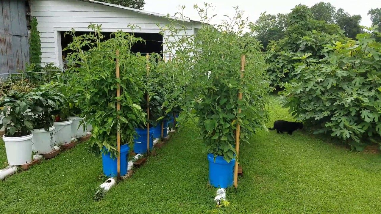 Creative And Innovative Rain Gutter Garden Ideas