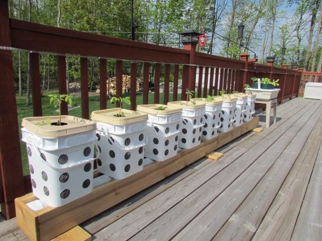 Easy And Neat Rain Gutter Garden Ideas