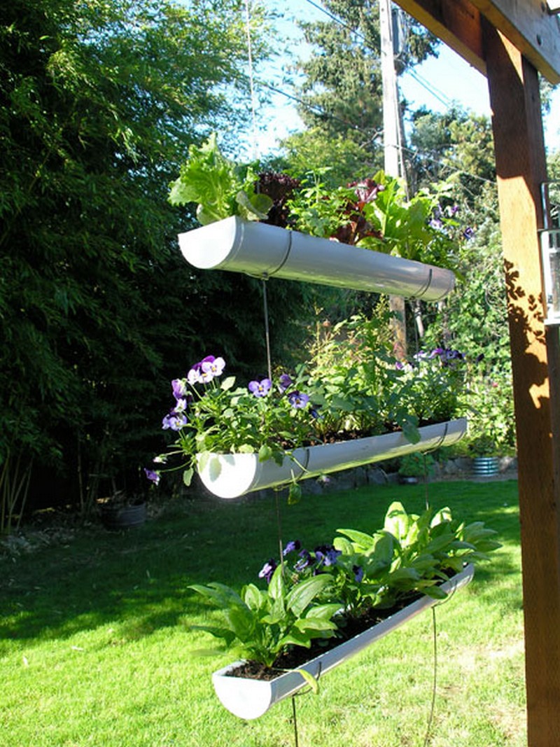 Growing A Gutter Garden
