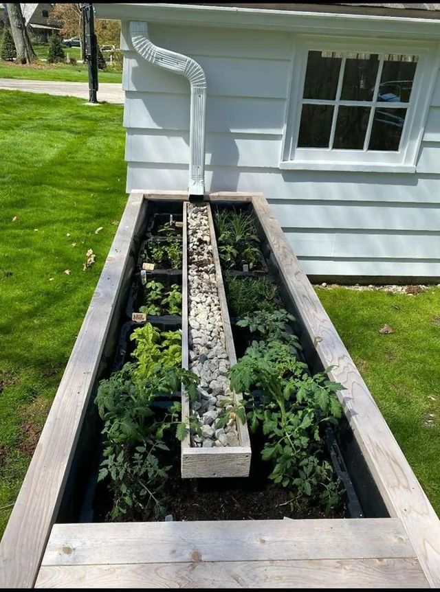 Easy And Neat Rain Gutter Garden Ideas