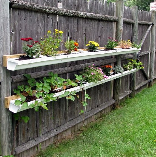 Easy And Neat Rain Gutter Garden Ideas