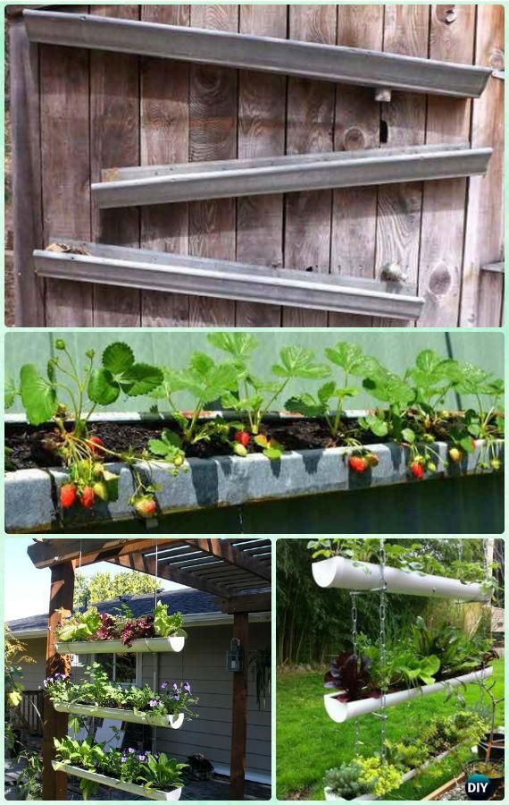Gutter Garden