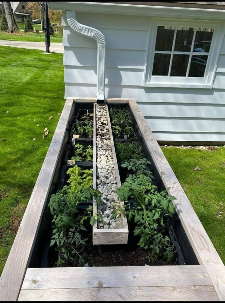 Growing Gutter Garden