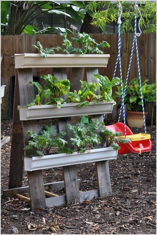 Gutter Gardens Gardening Forums