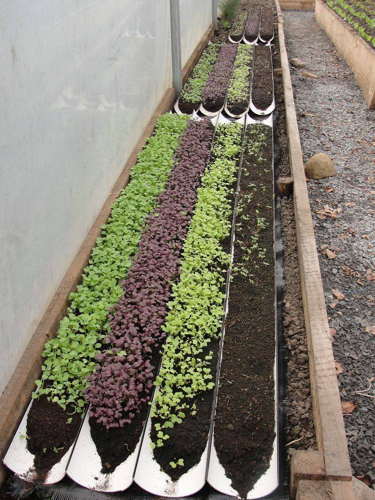 Creative And Innovative Rain Gutter Garden Ideas