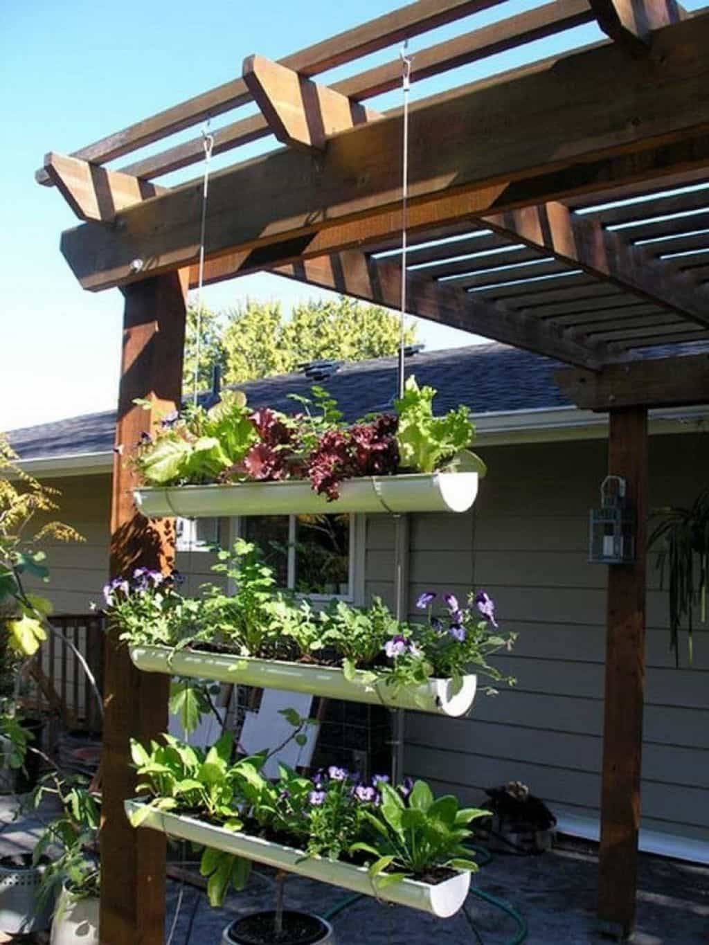 Amazing Rain Gutter Gardens You Should Not Miss