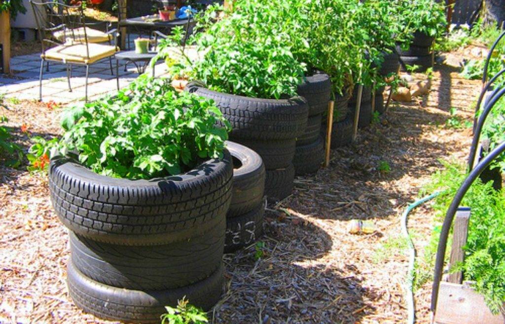 Cheap Container Vegetable Gardening Ideas