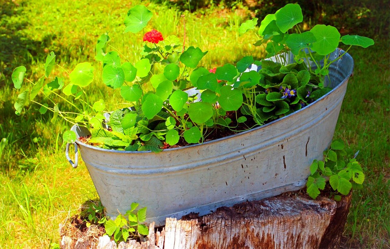 Diy Creative Patio Vegetable Garden Containers Ideas Viraldecoration