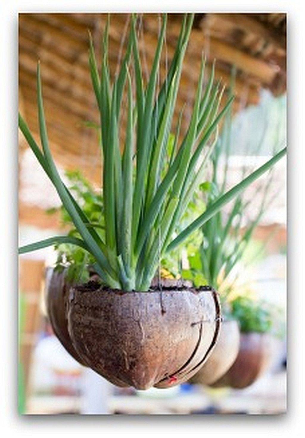 Fantastic Backyard Vegetable Garden Ideas