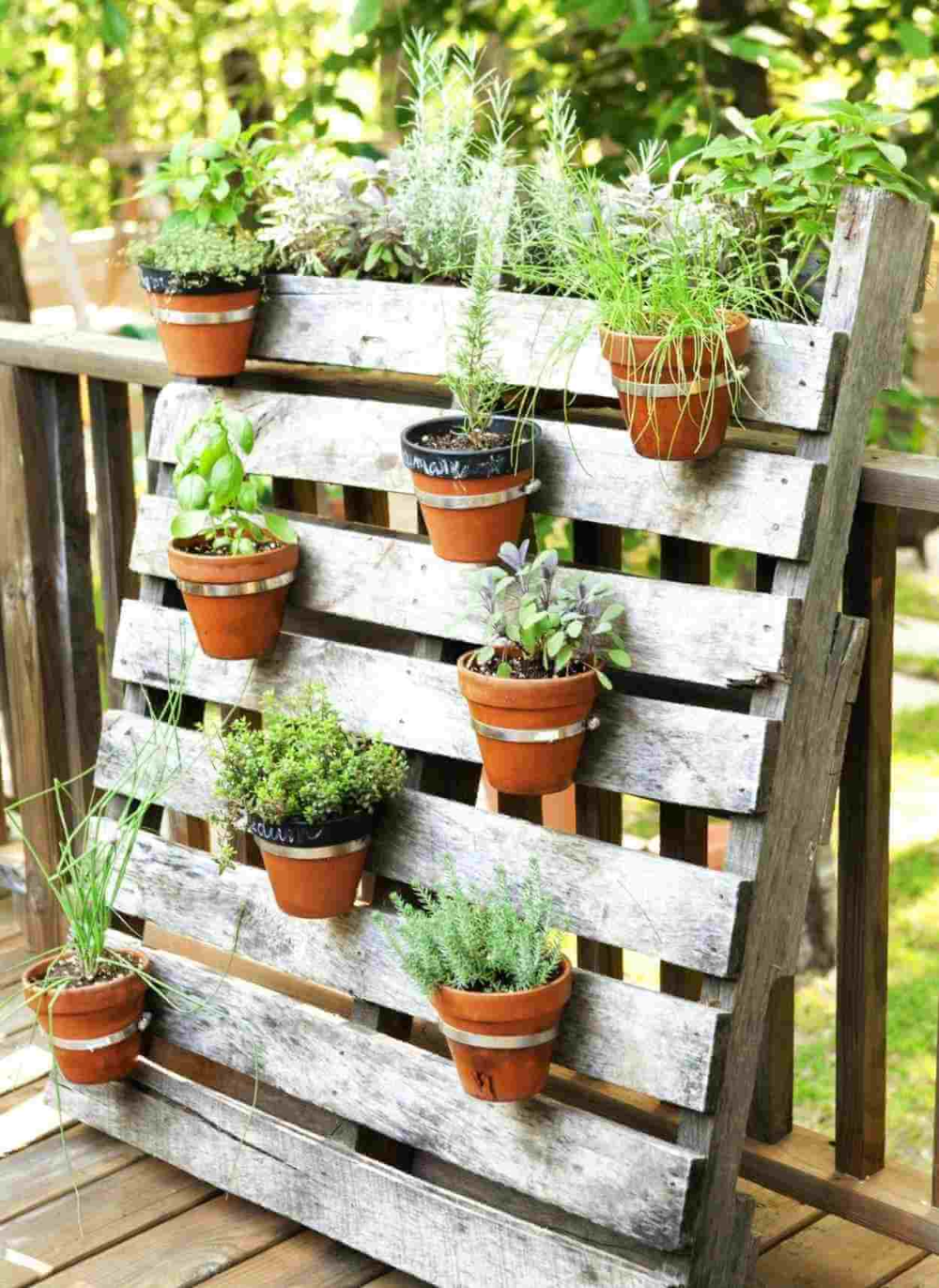 Garden Ideas