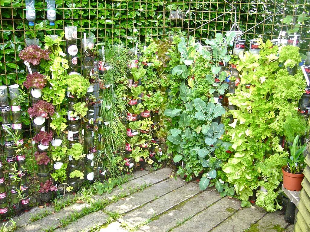 Beautiful And Creative Vertical Wall Garden Ideas