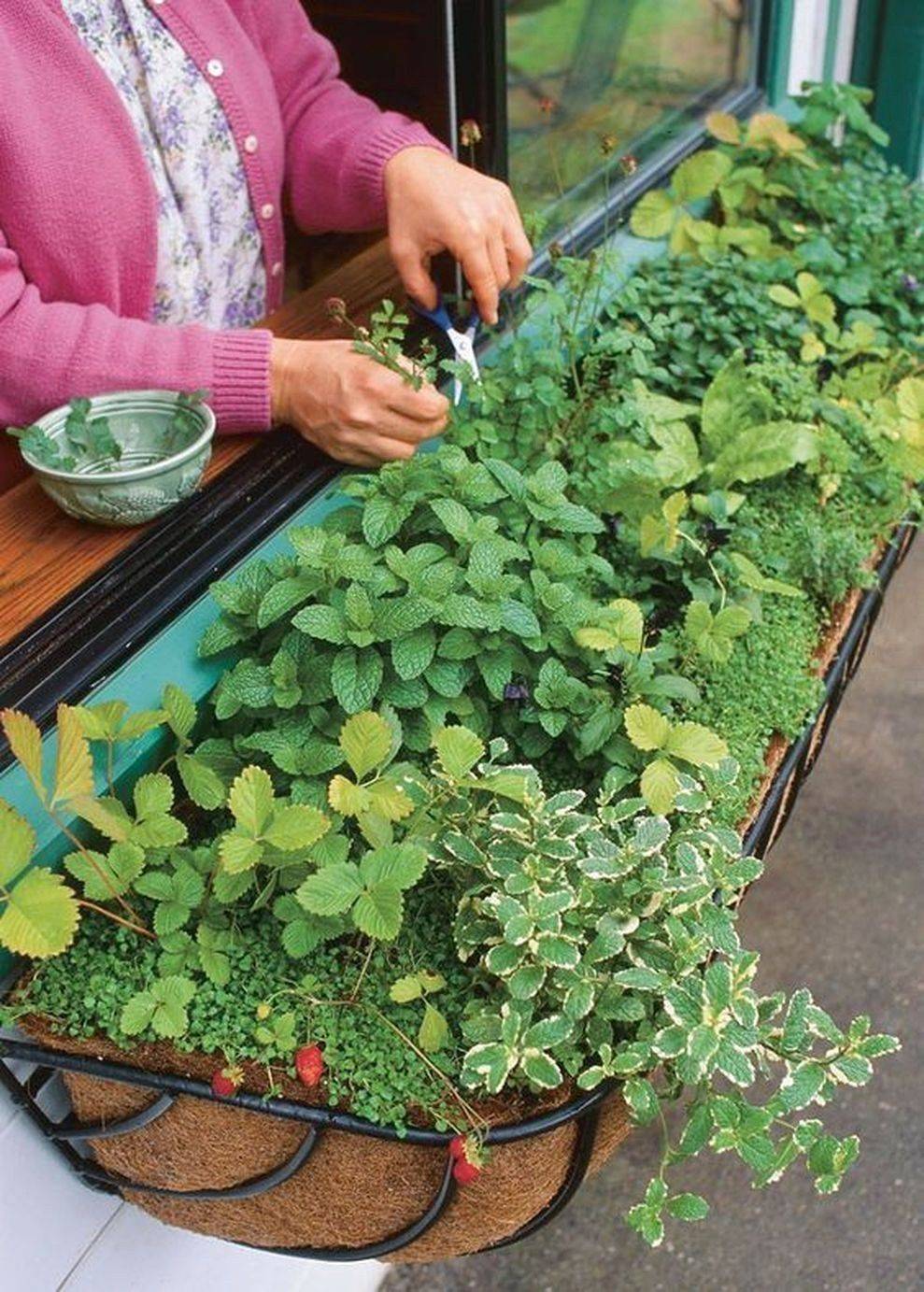Fabulous Summer Container Garden Flowers Ideas