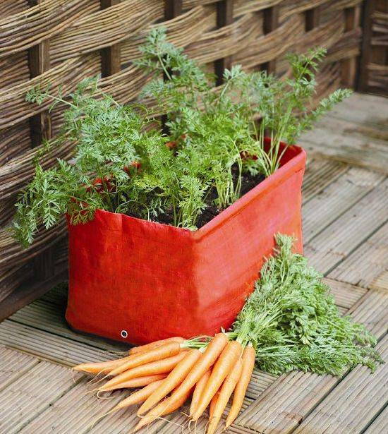 20 Window Box Vegetable Garden Ideas To Consider SharonSable