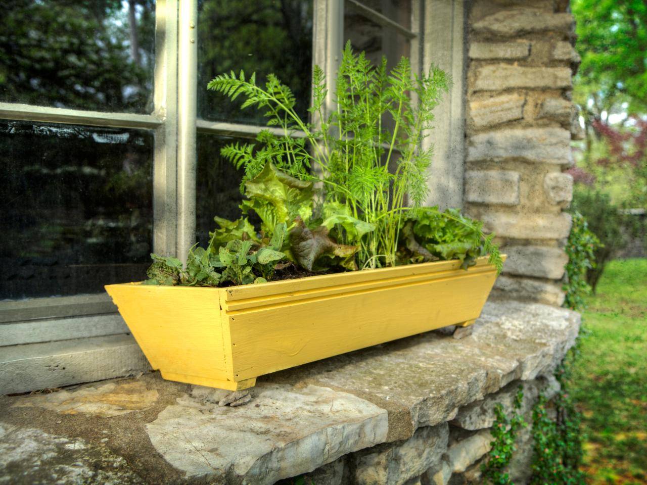 Flowering Vegetable Window Box Gardeningbasics Window Box Flowers