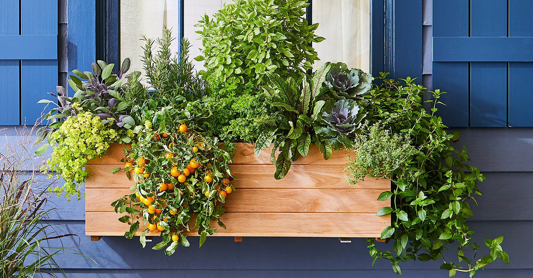 Strawberry Herb Tomato And Flower Gardening Window Box Planter Kit