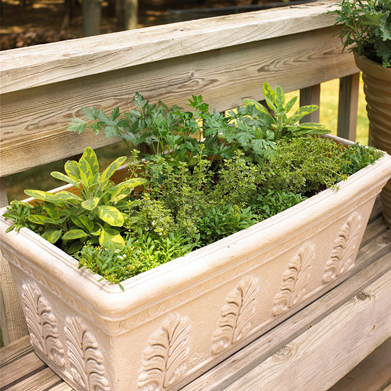 Stunning Vegetable Garden Ideas