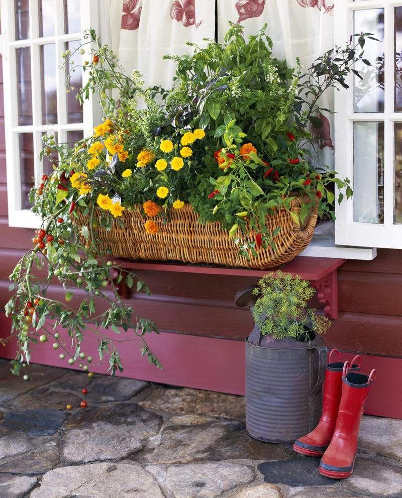 This Window Box Plan