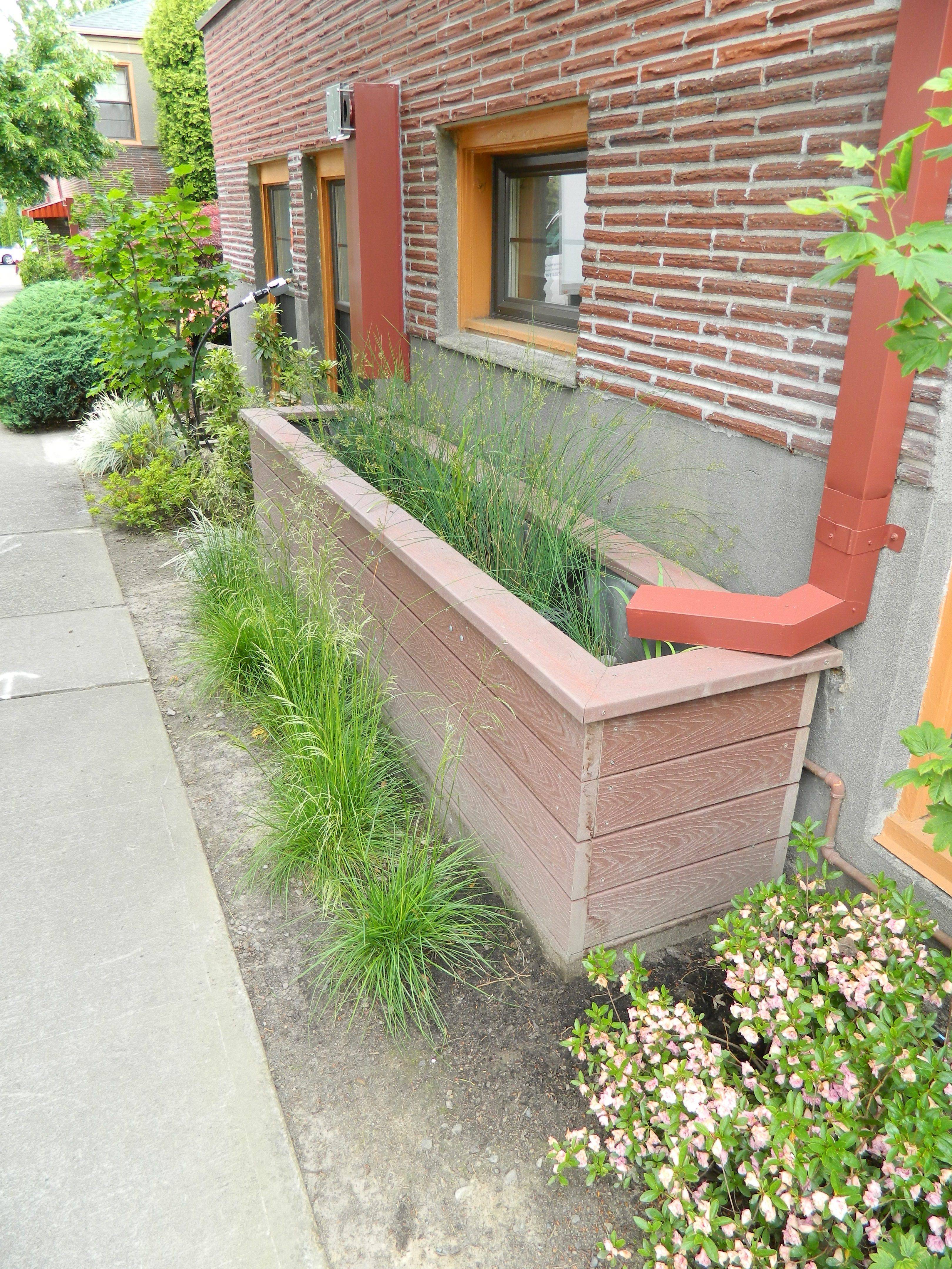 Strawberry Hanging Planters