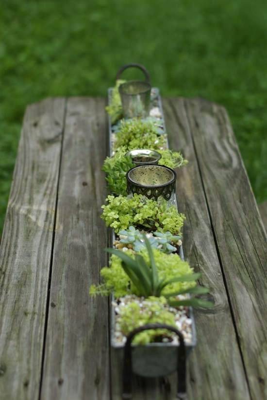 Rain Gutter Strawberries