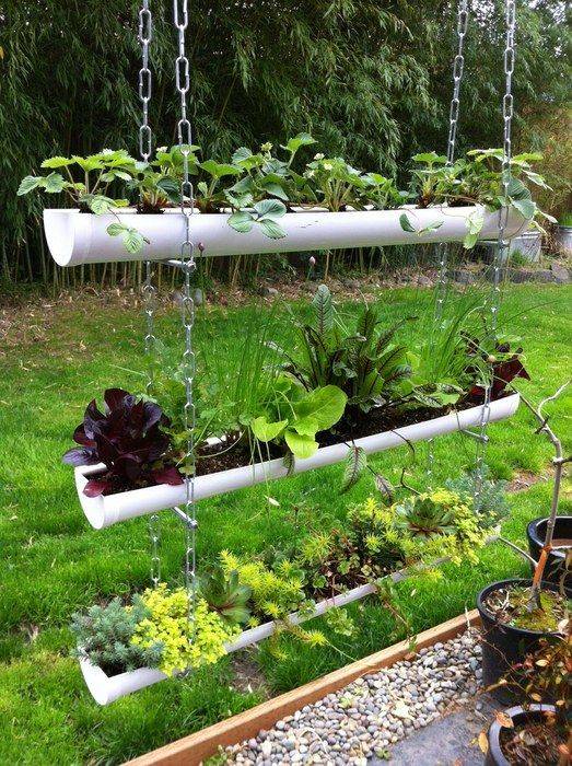 Rain Gutter Veggie Box
