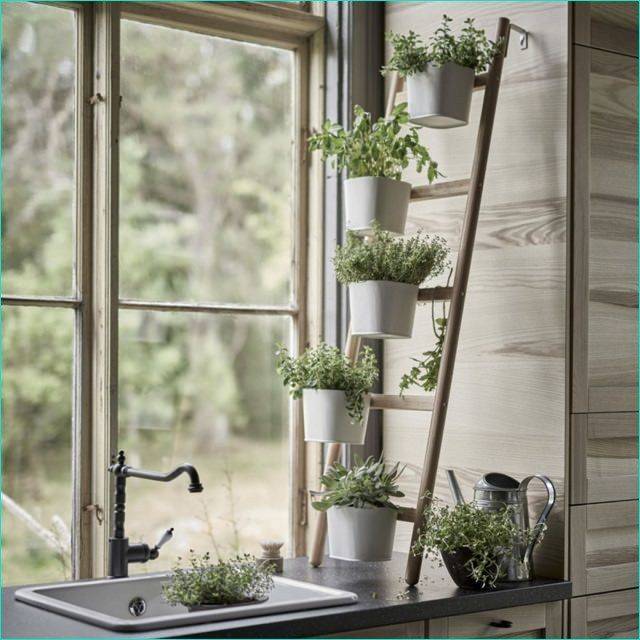 Window Herb Garden