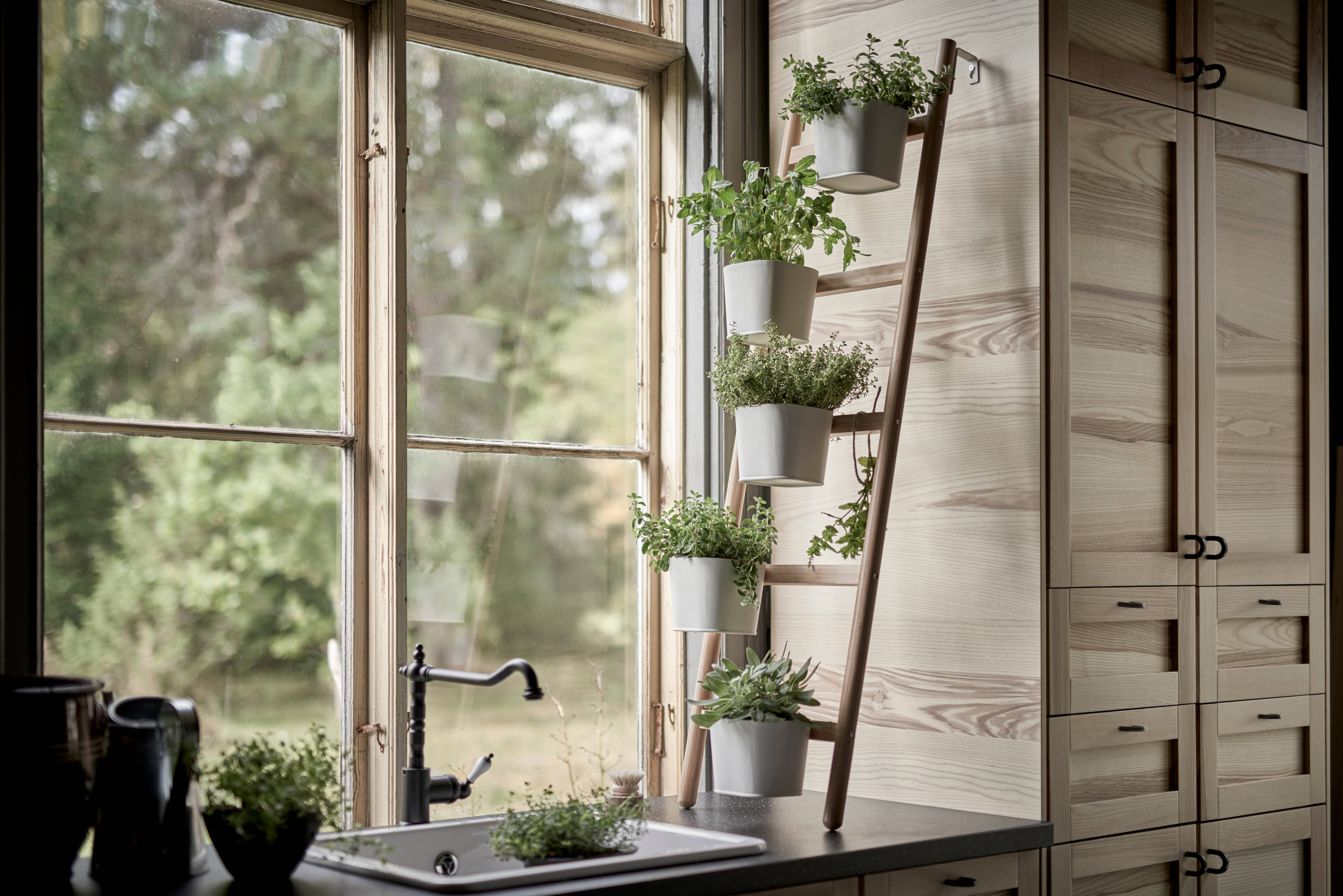 My Kitchen Window Herb Garden