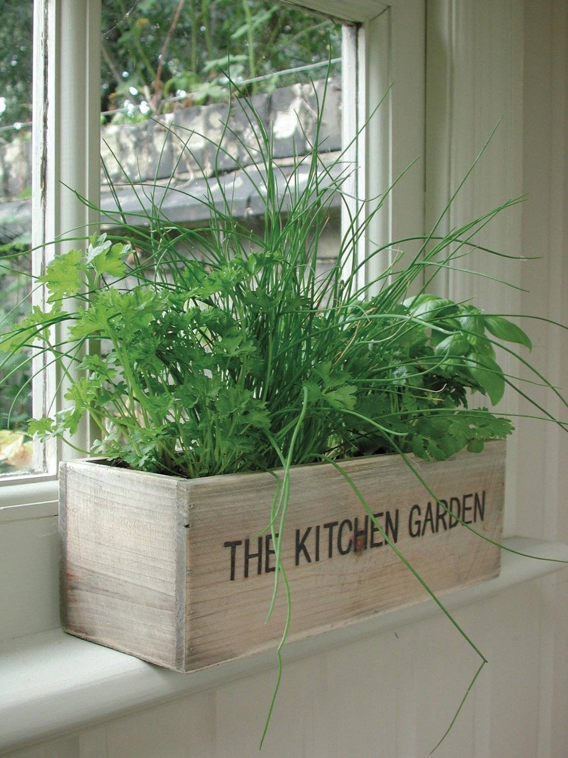 Window Hanging Herb Garden Garden Design Ideas