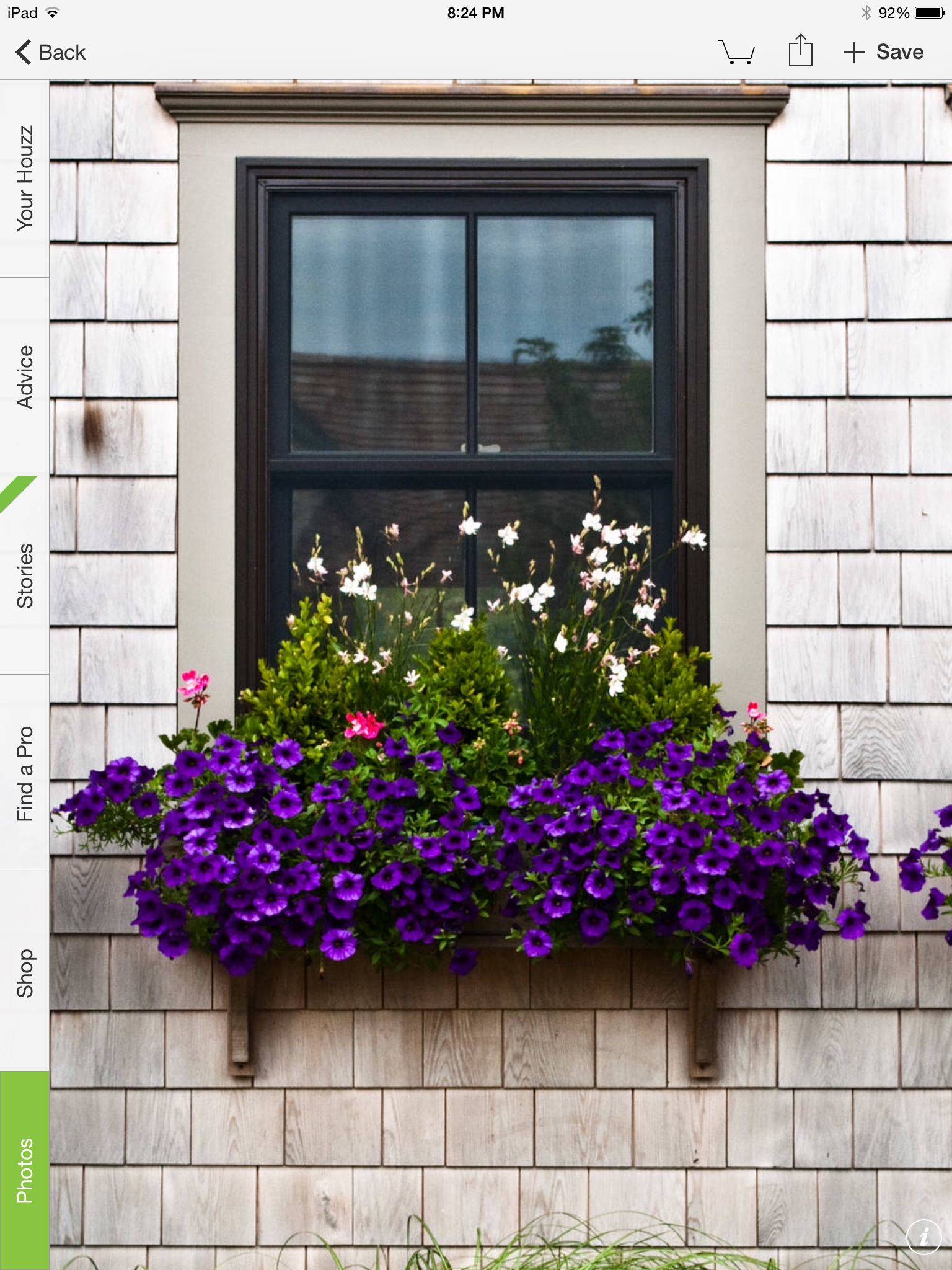 Binghamton Ny Window Broker