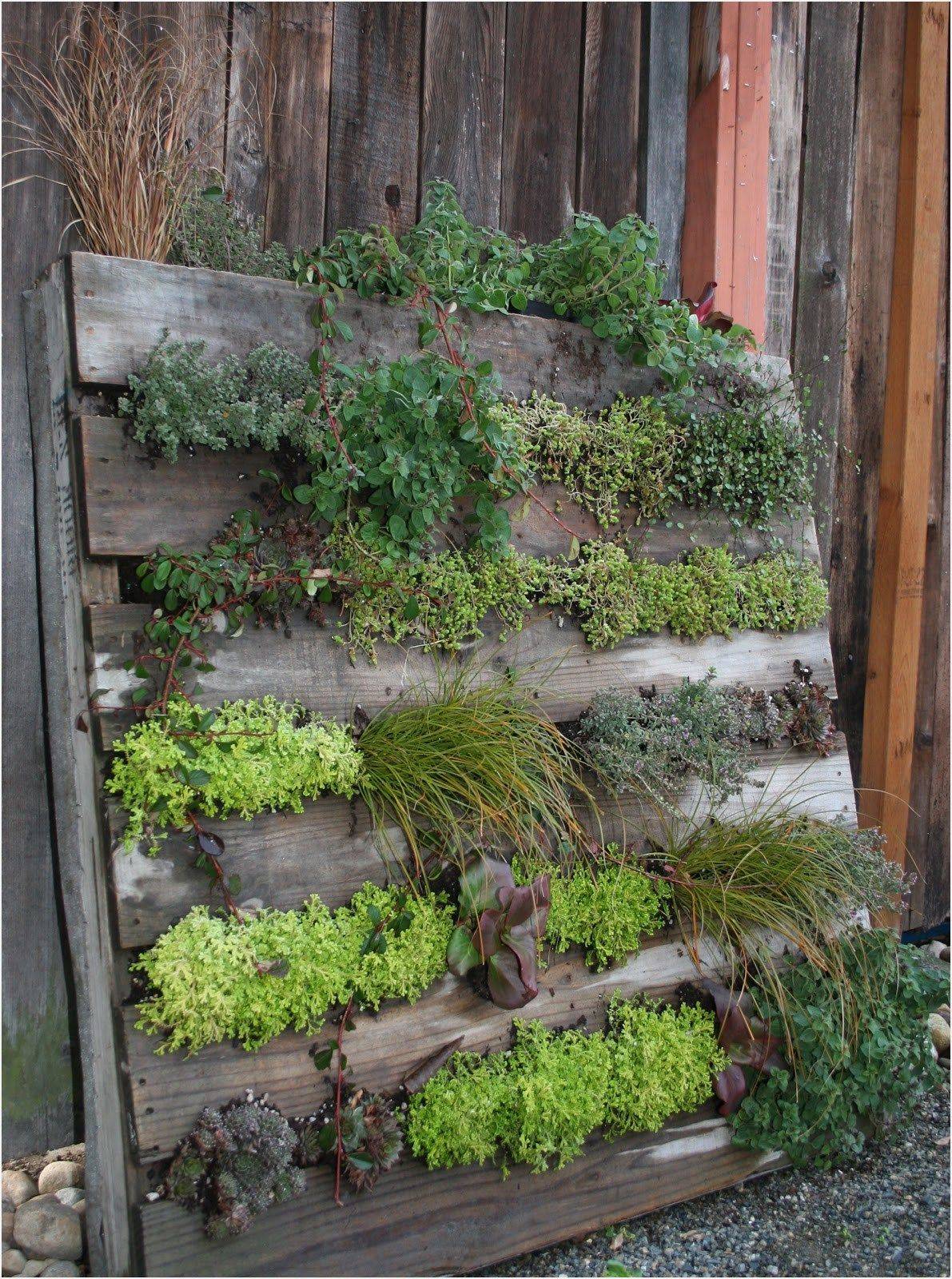 Innovative Diy Pallet Vertical Garden Ideas
