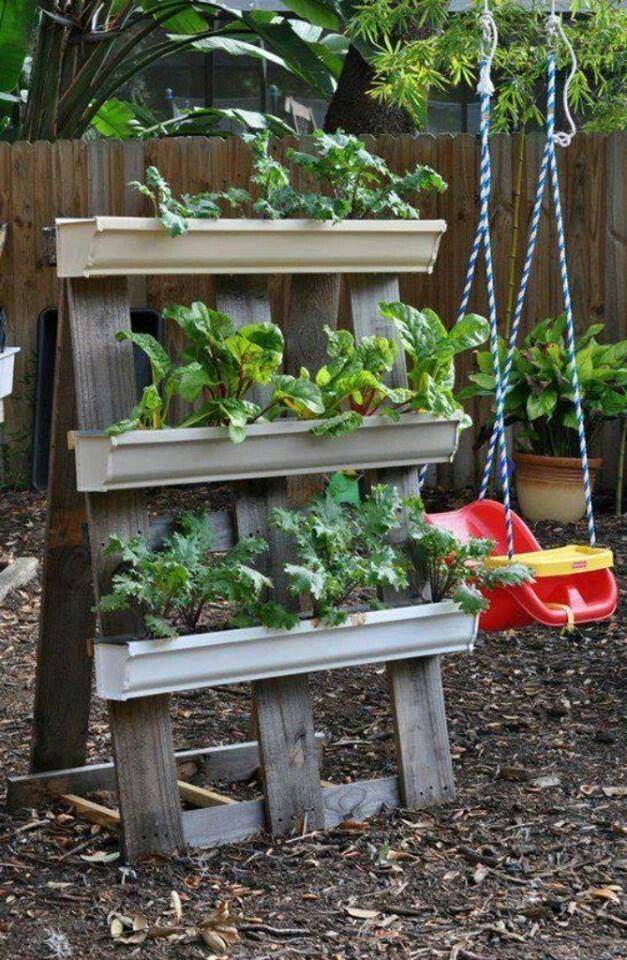 Vertical Diy Rain Gutter Garden Ideas