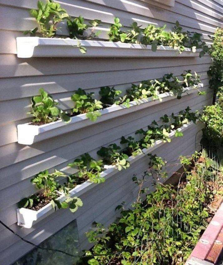 Easy And Neat Rain Gutter Garden Ideas