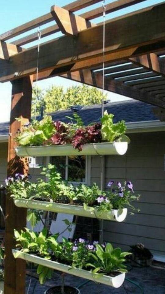 Gutter Garden