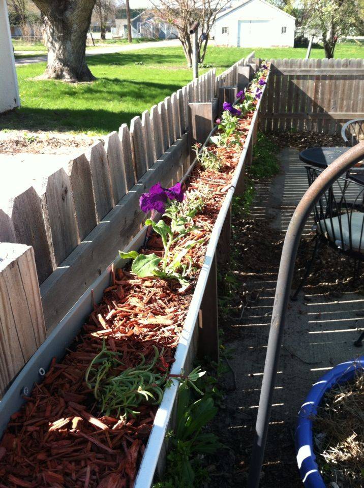 Rain Gutter Centerpiece