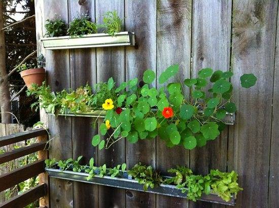Easy Diy Gutter Garden Ideas Pallet