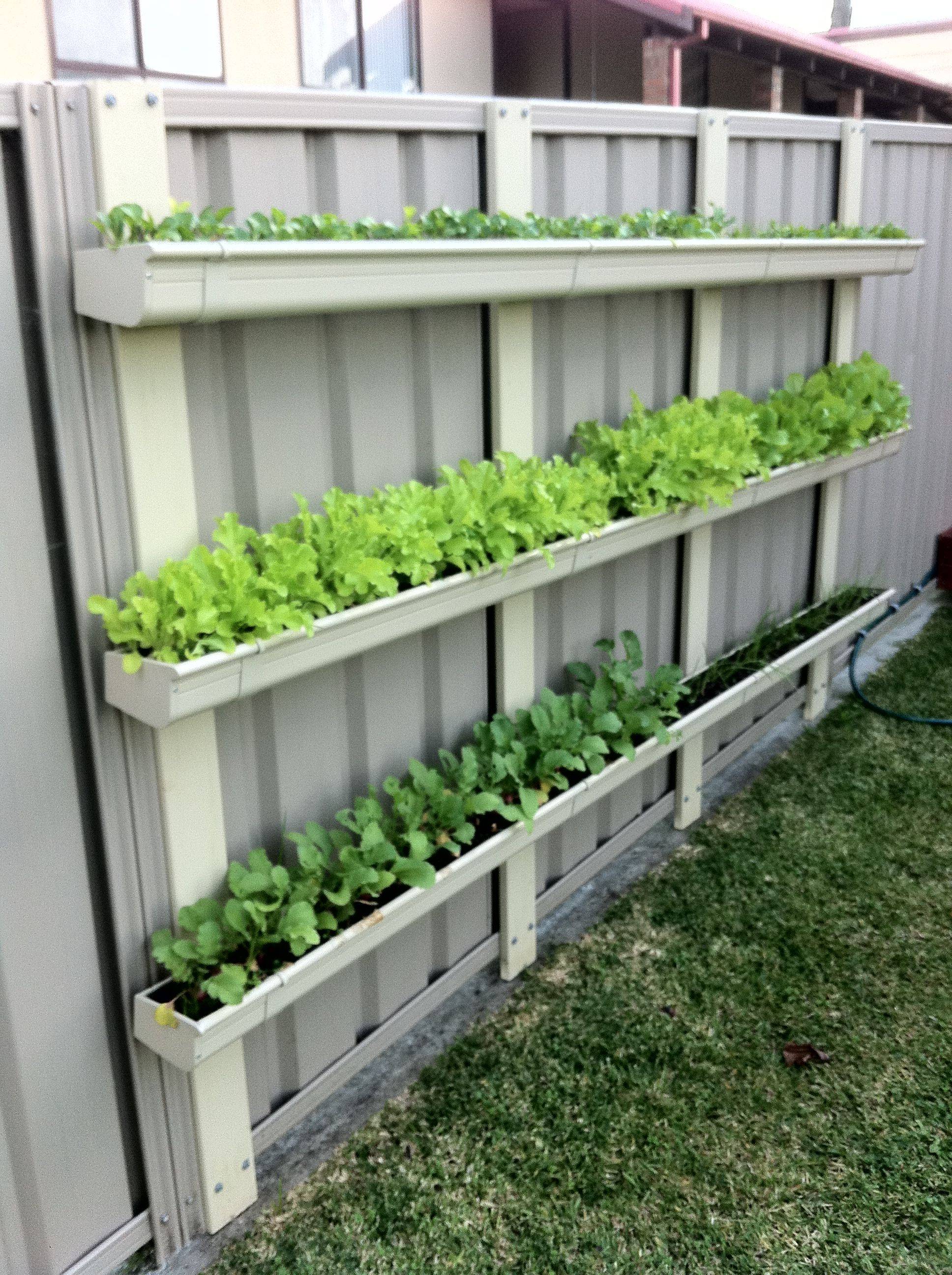Fence Gutter Garden