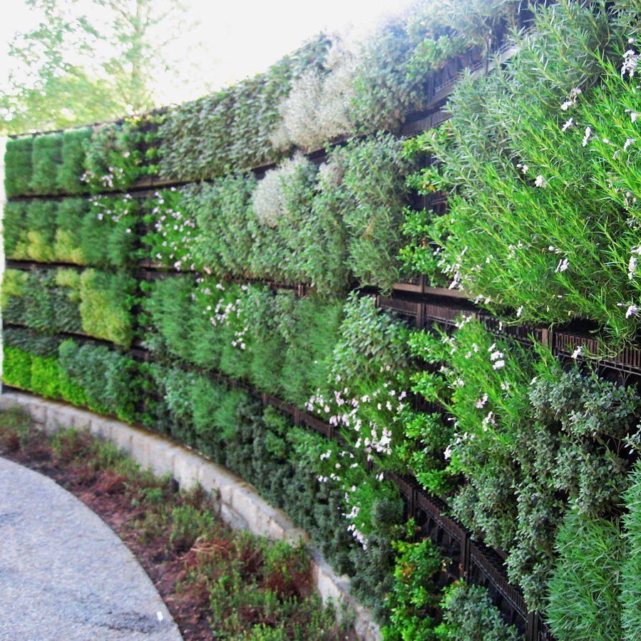 Diy Vertical Gardening Ideas