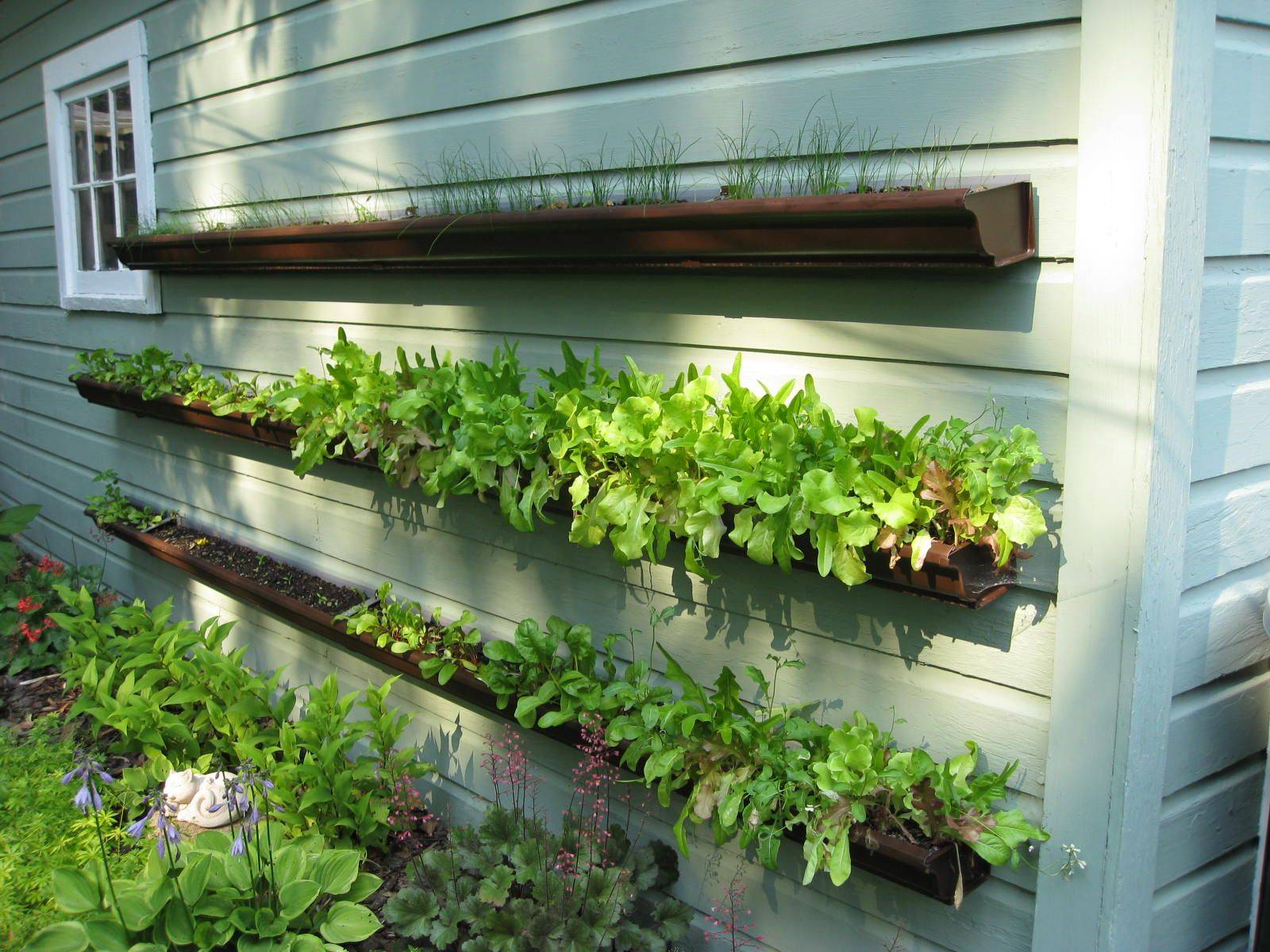 Awesome Rain Gutter Gardens Hortas Verticais