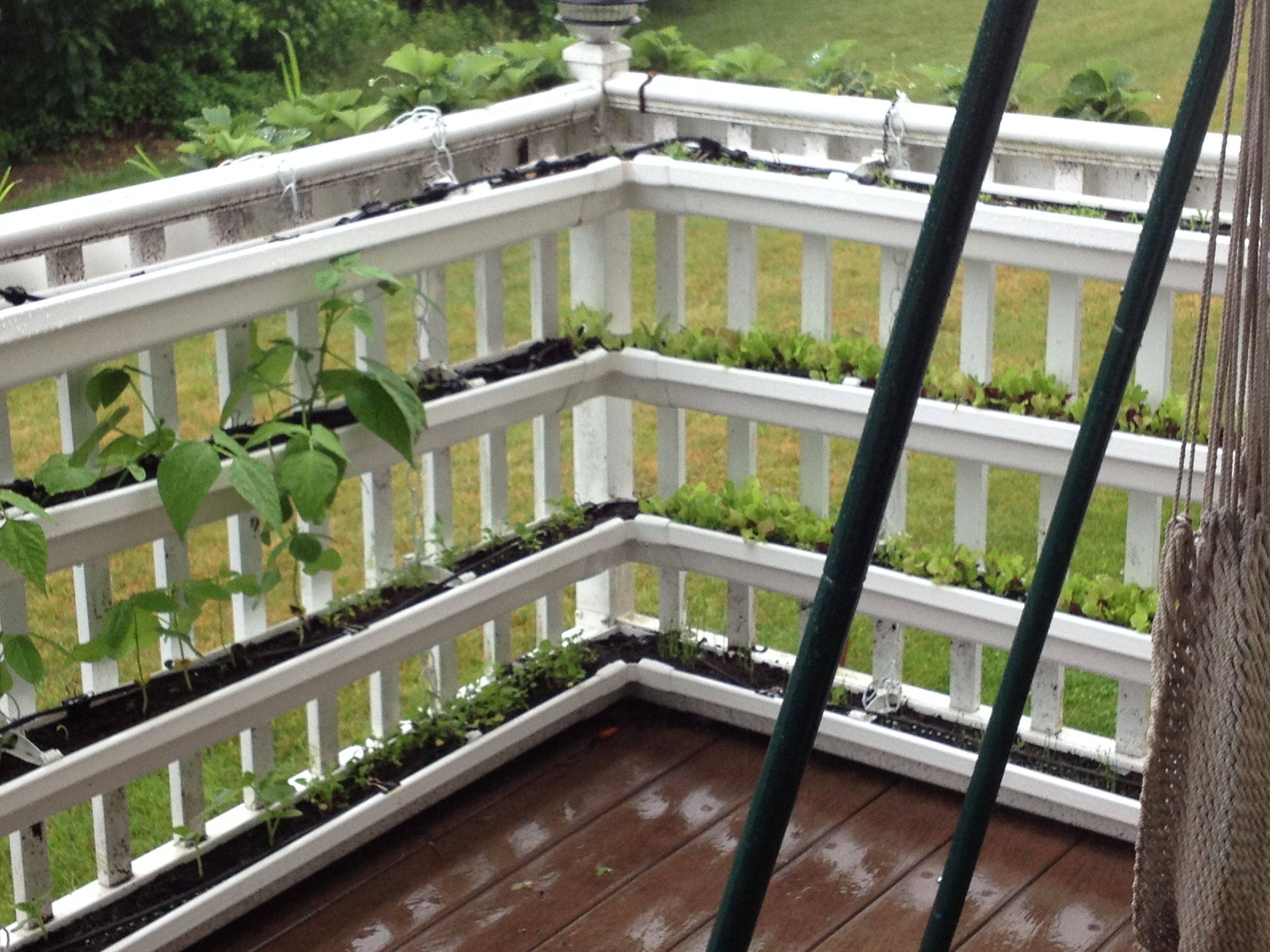 Vertical Vegetable Gardens