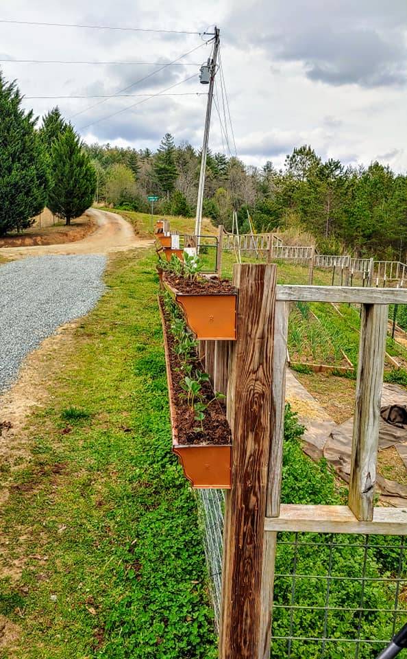 Hanging Gutter Vertical Garden
