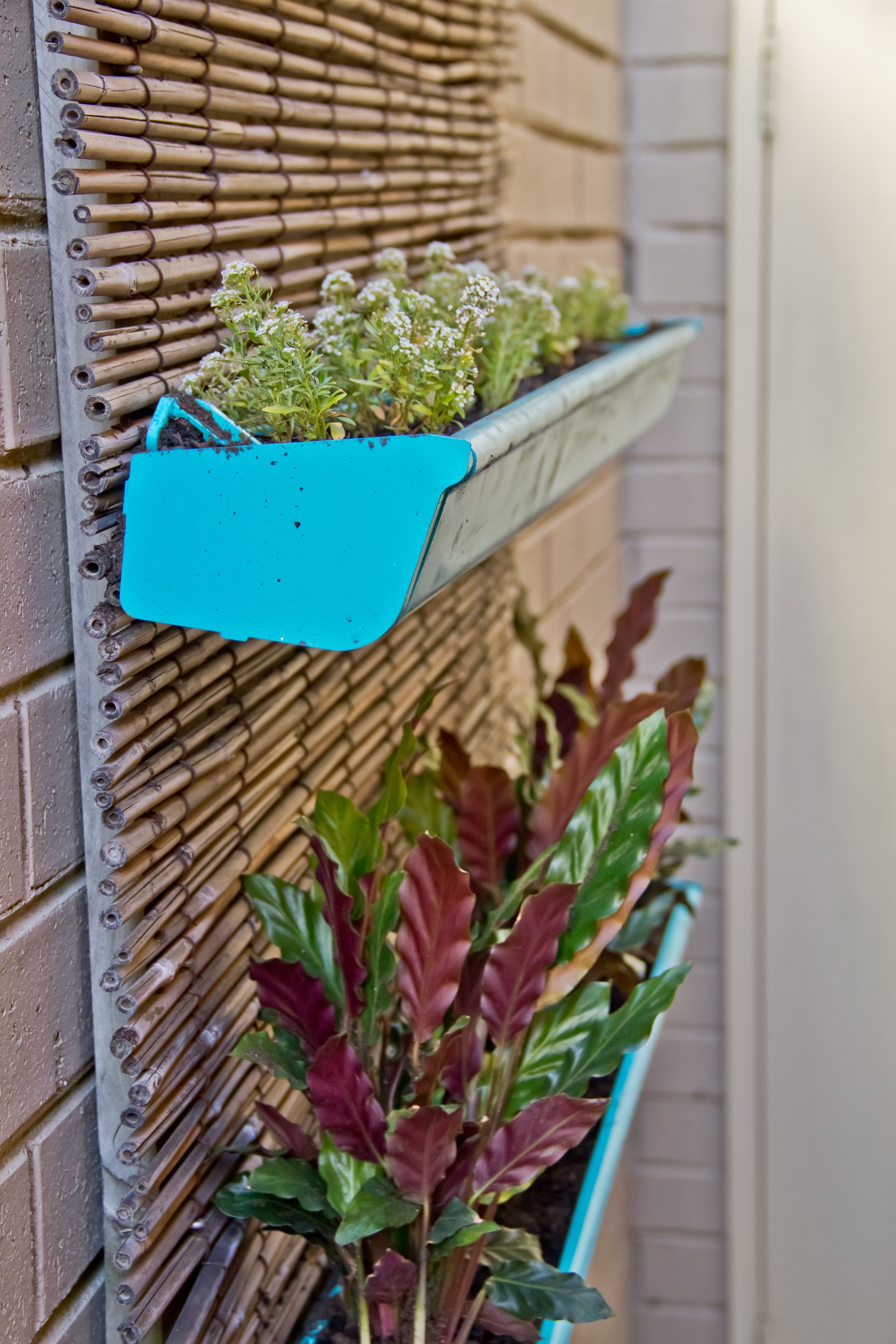 Rain Gutter Garden Ideas