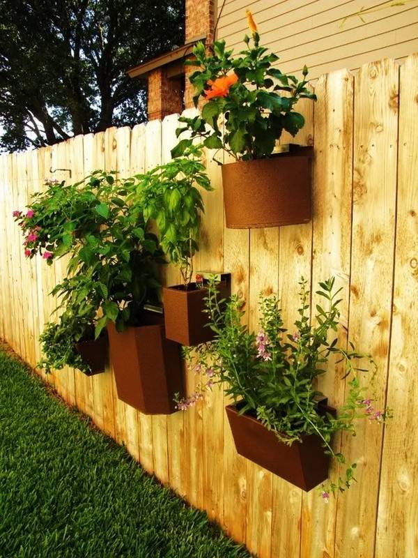Your Privacy Fence