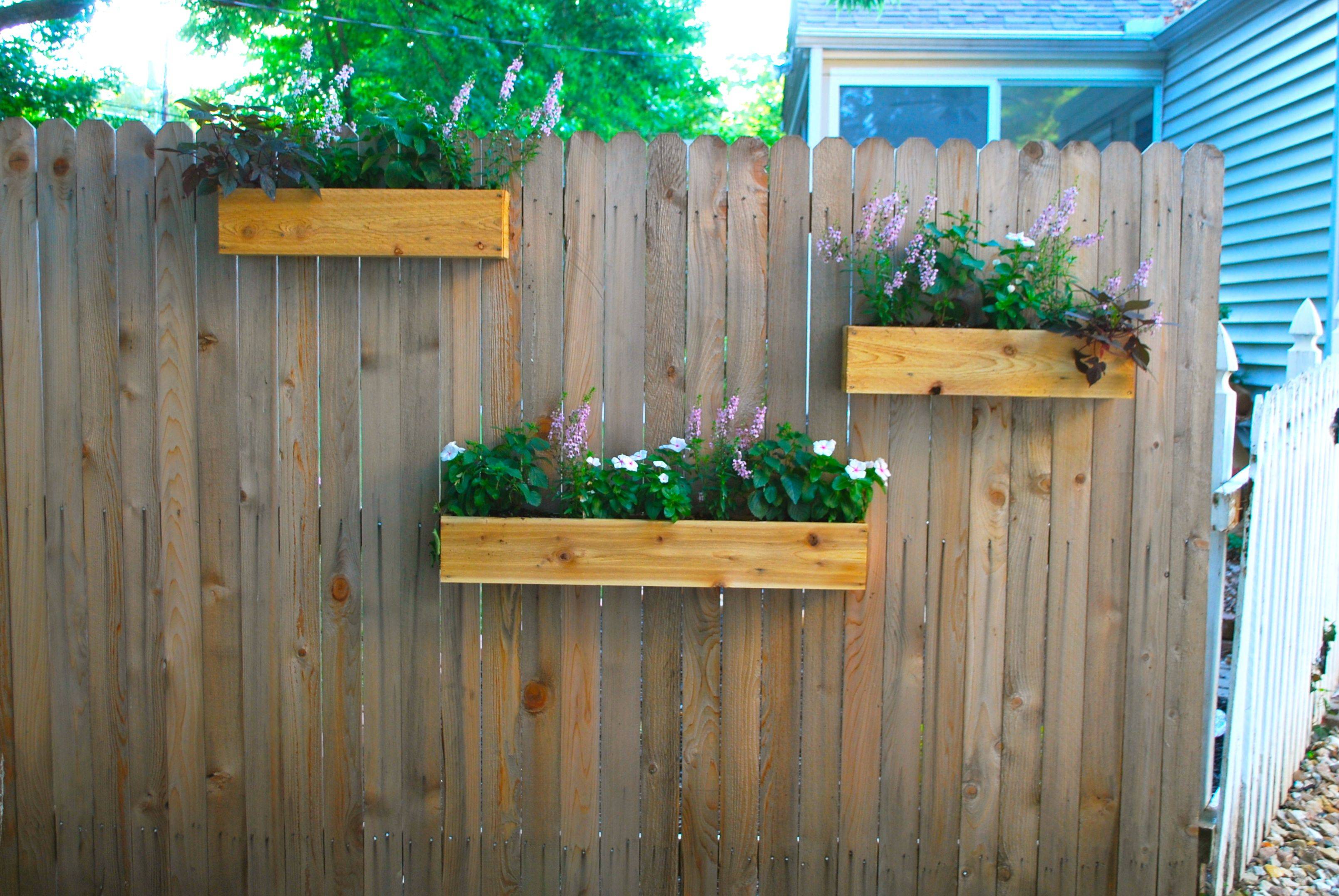 Garden Yard Ideas