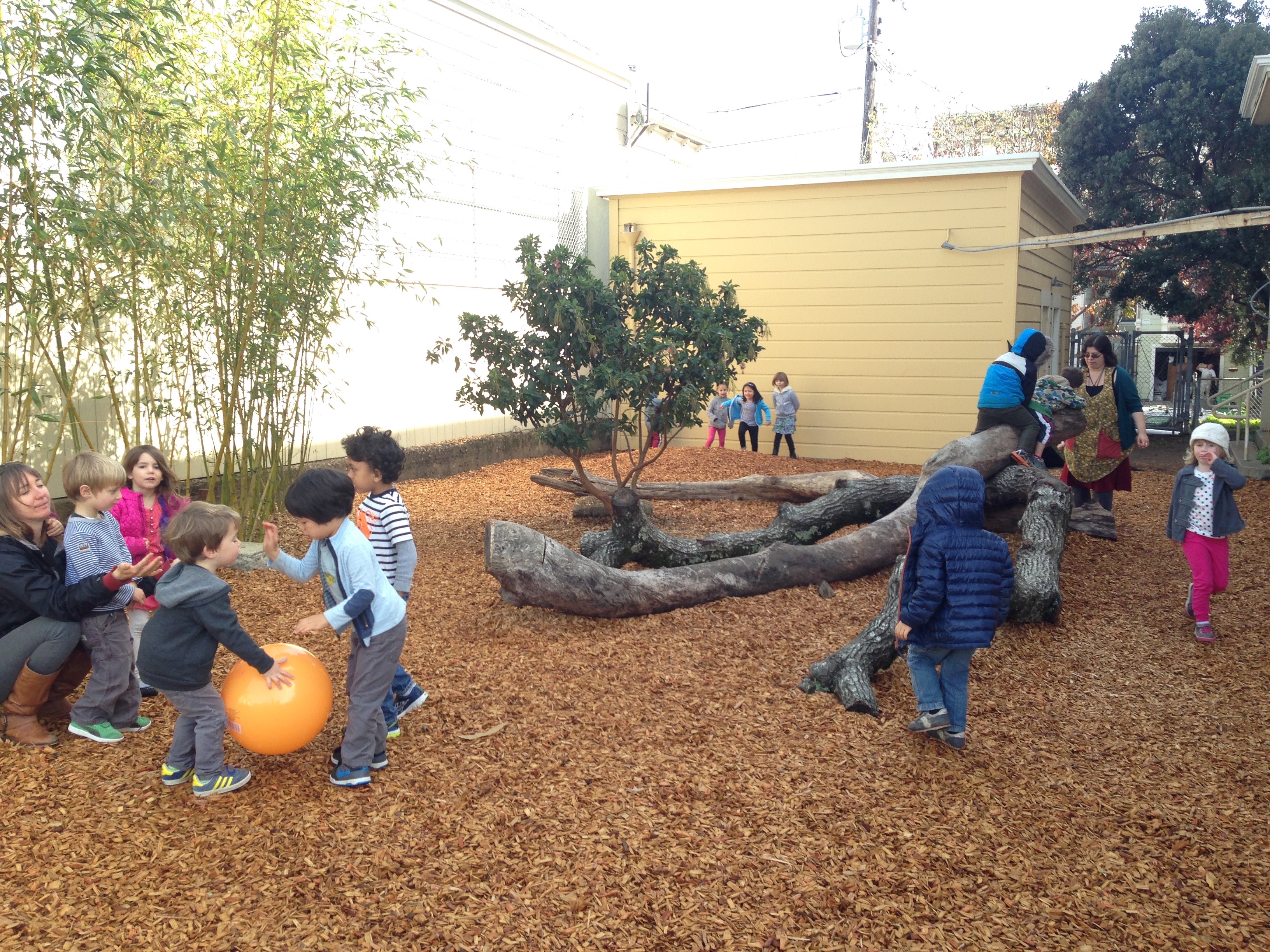 Backyard Play Area Ideas