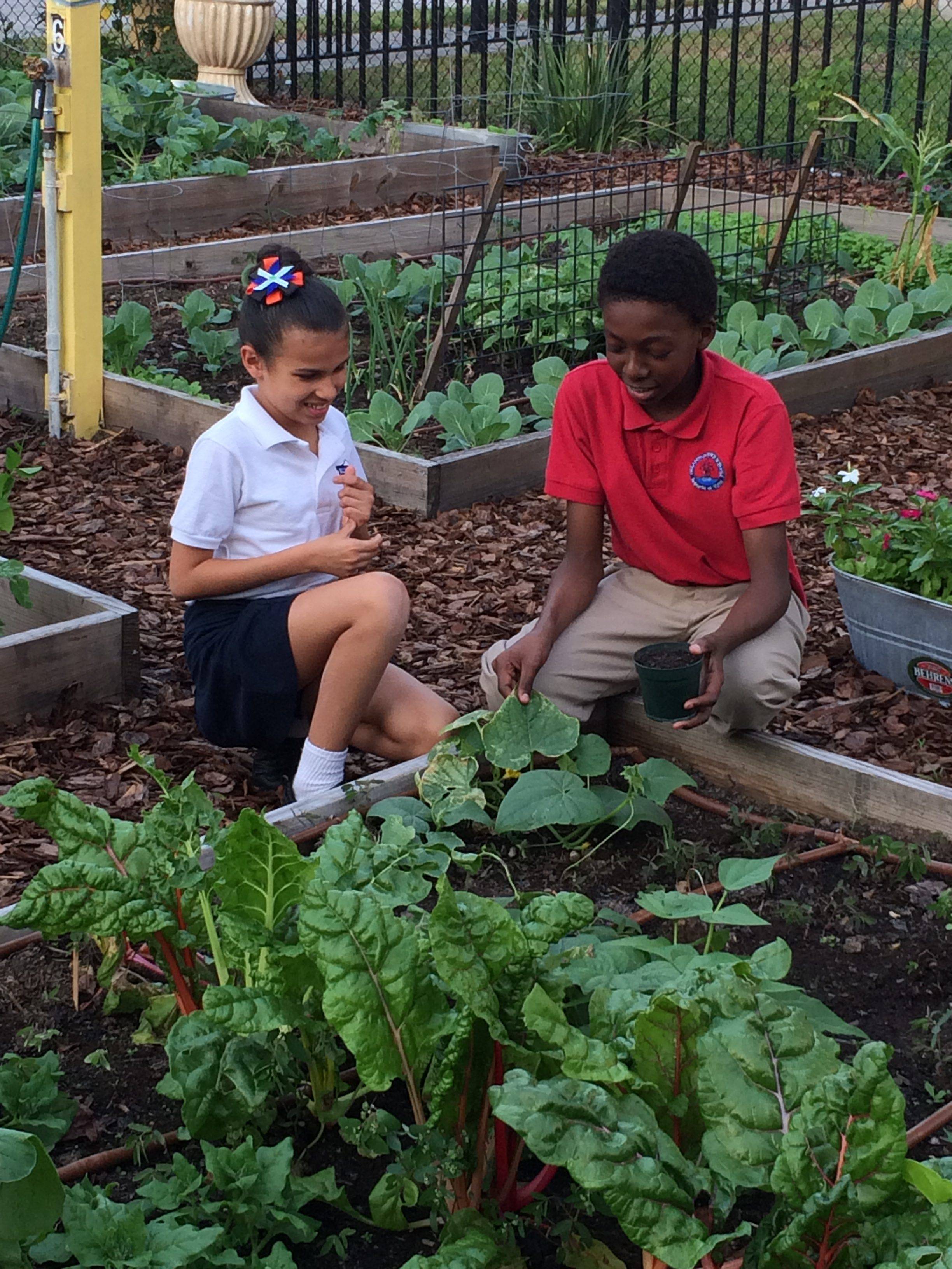 Sweet Simple School Garden Design Ideas