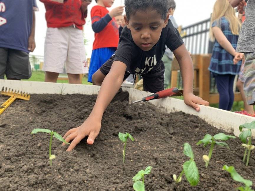 Sweet Simple School Garden Design Ideas