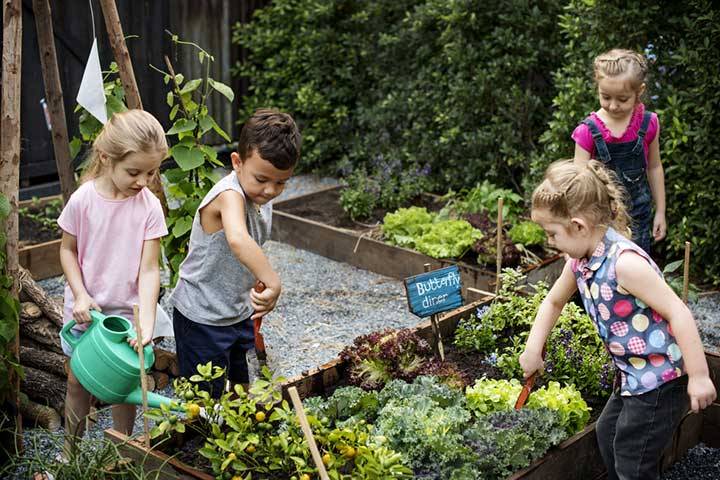 Fun Kids Gardening Projects