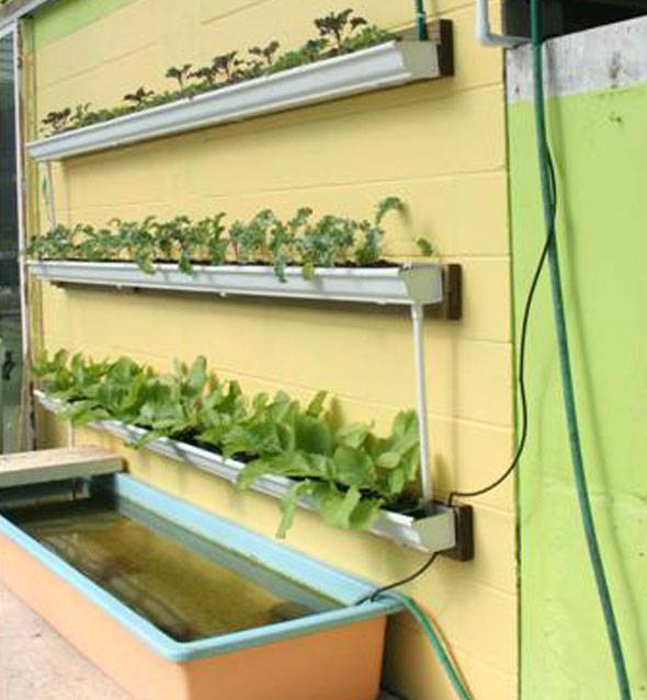 Creative And Innovative Rain Gutter Garden Ideas