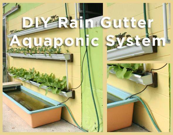 Creative And Innovative Rain Gutter Garden Ideas