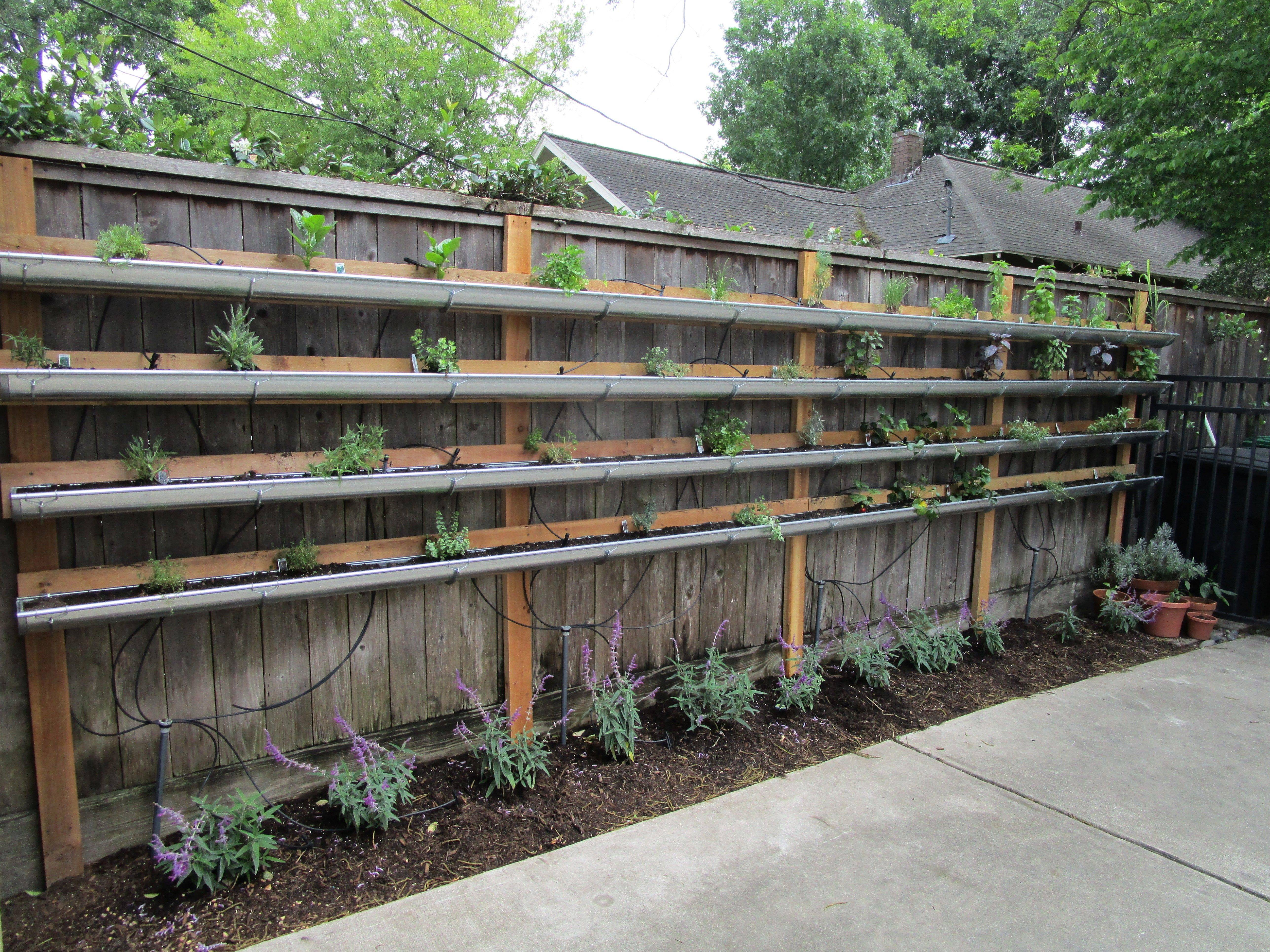 Best Diy Vertical Rain Gutter Garden Ideas
